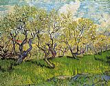 Vincent van Gogh Orchard in Blossom 4 painting